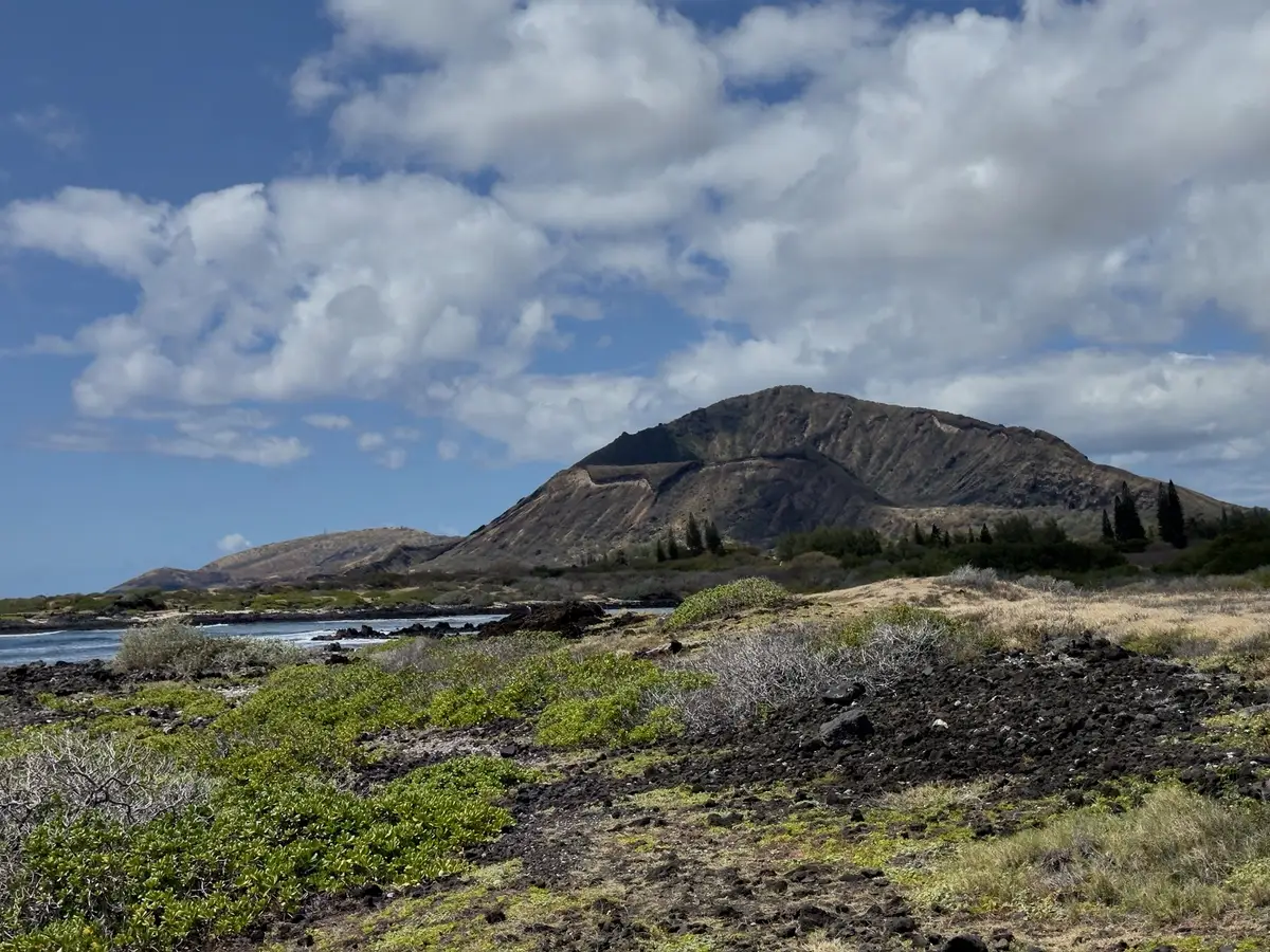 Honolulu, HI, December 11, 2024