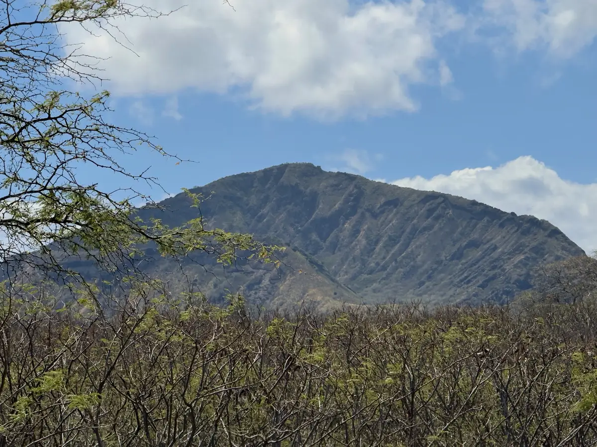 Honolulu, HI, December 11, 2024