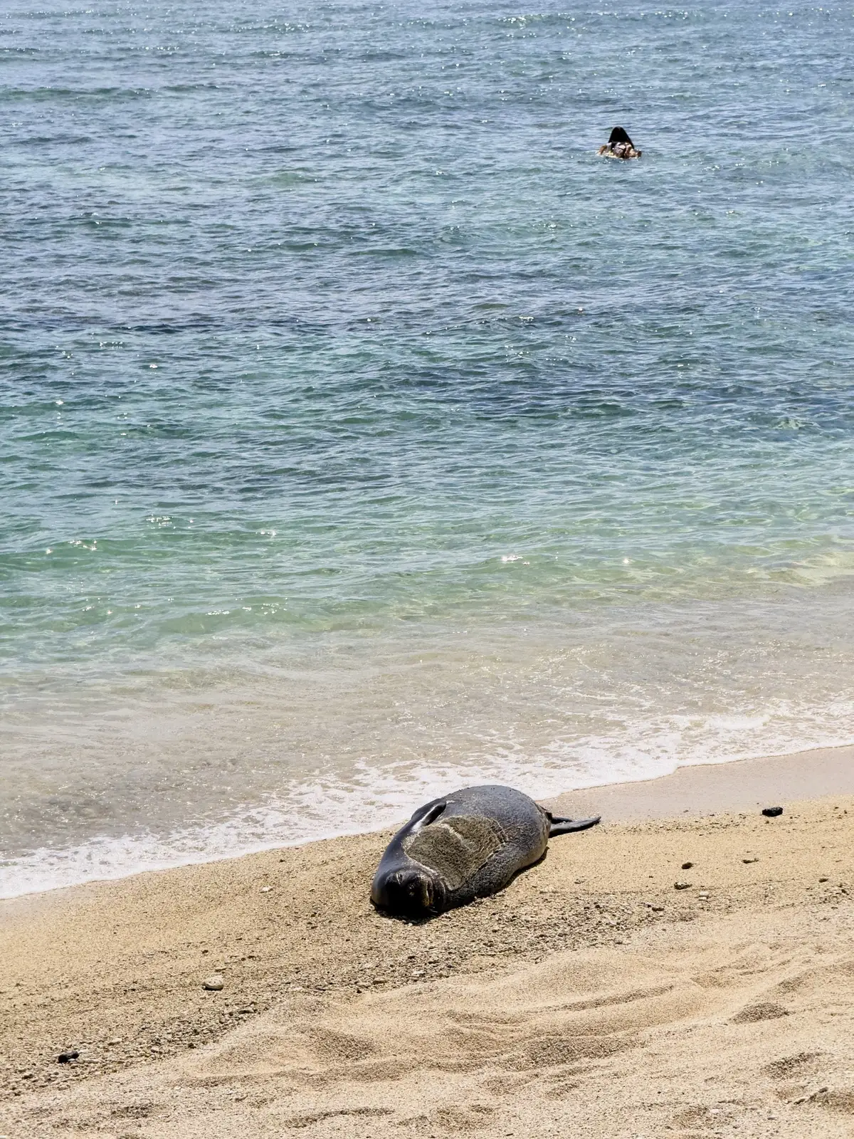 Honolulu, HI, December 11, 2024