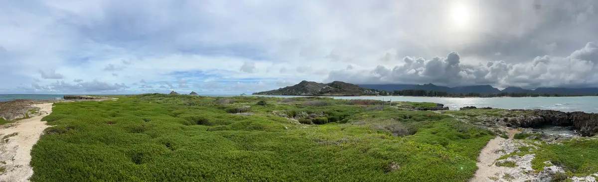 Honolulu, HI, December 11, 2024