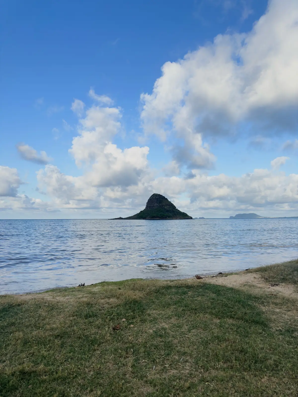 Honolulu, HI, December 11, 2024