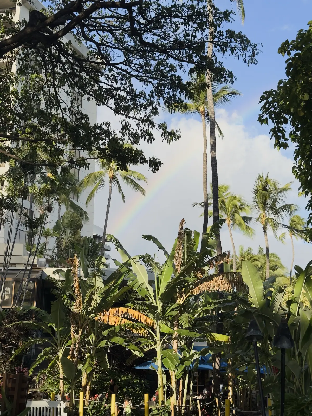 Honolulu, HI, December 11, 2024
