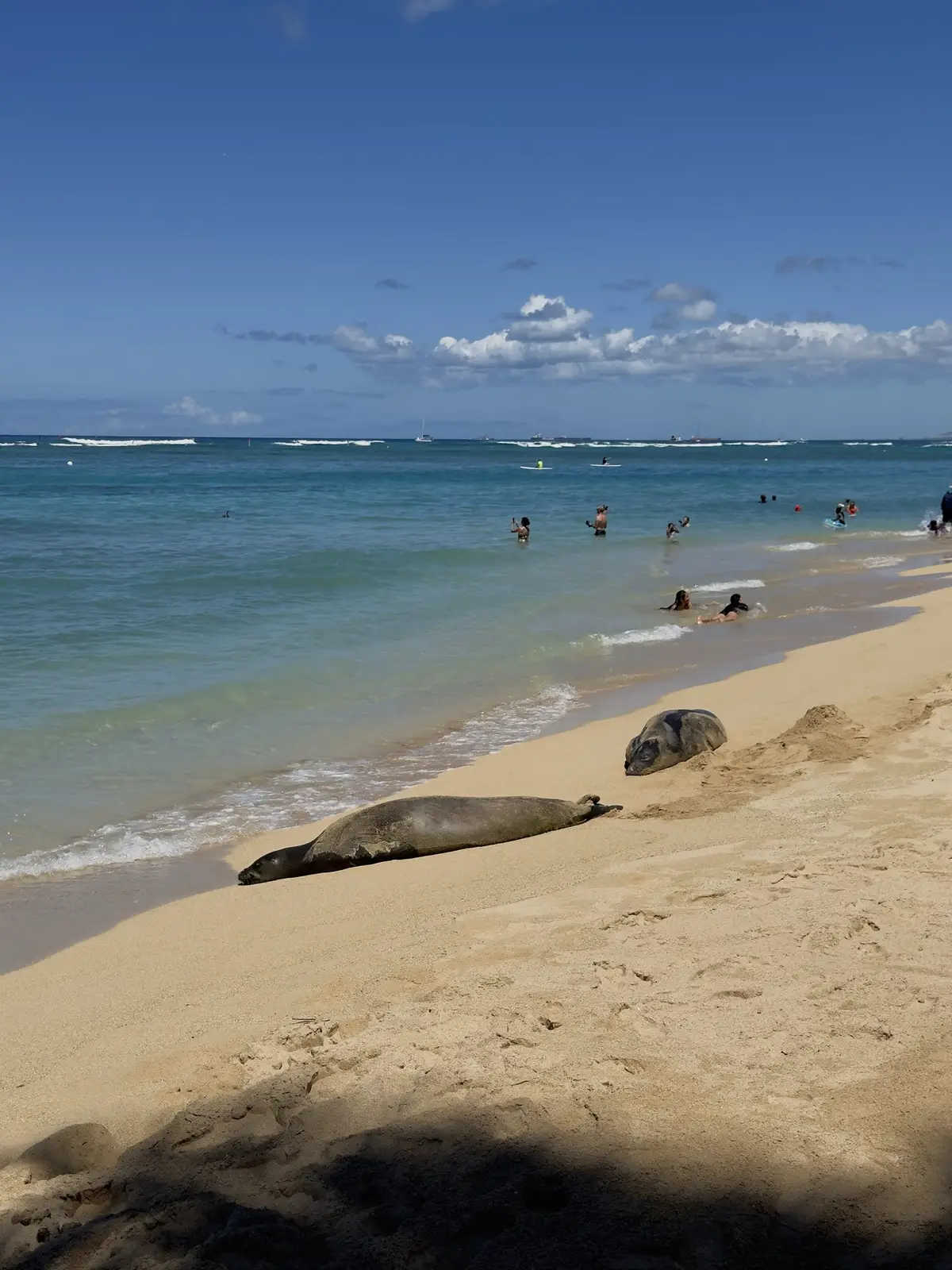 Honolulu, HI, December 11, 2024