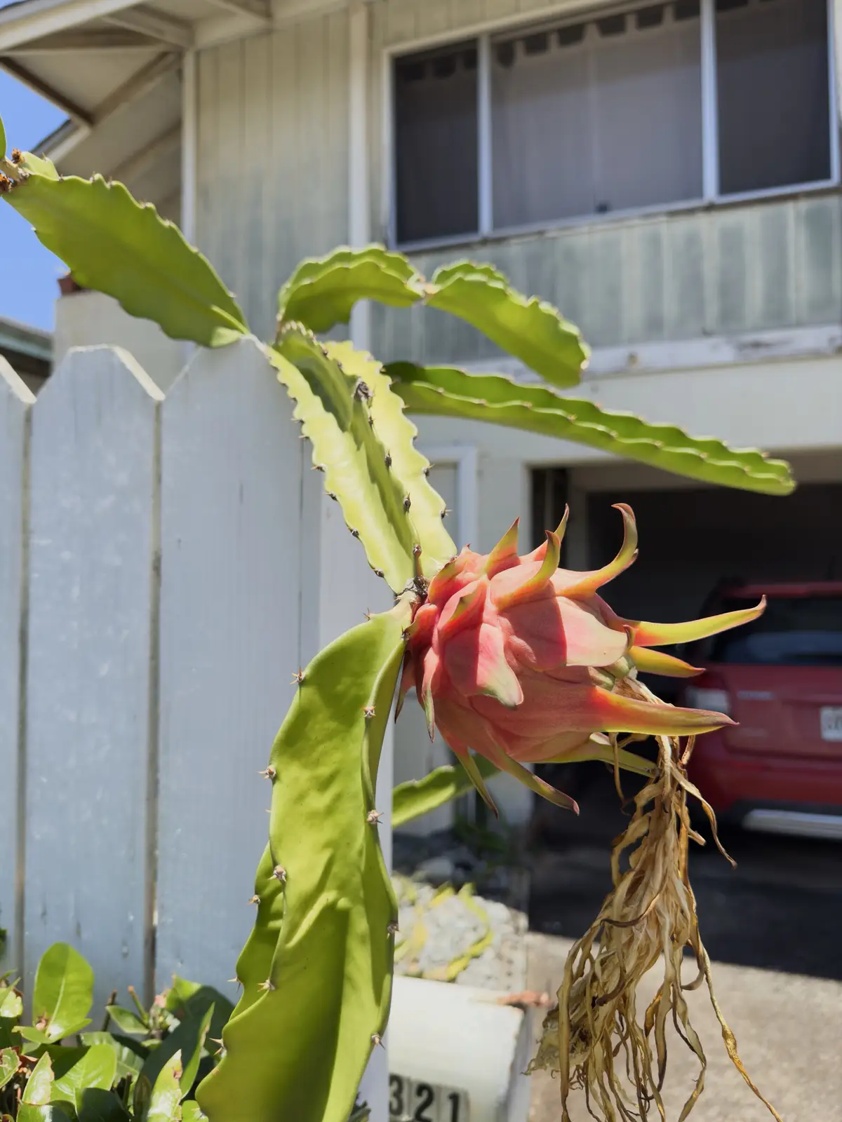 Honolulu, HI, December 11, 2024