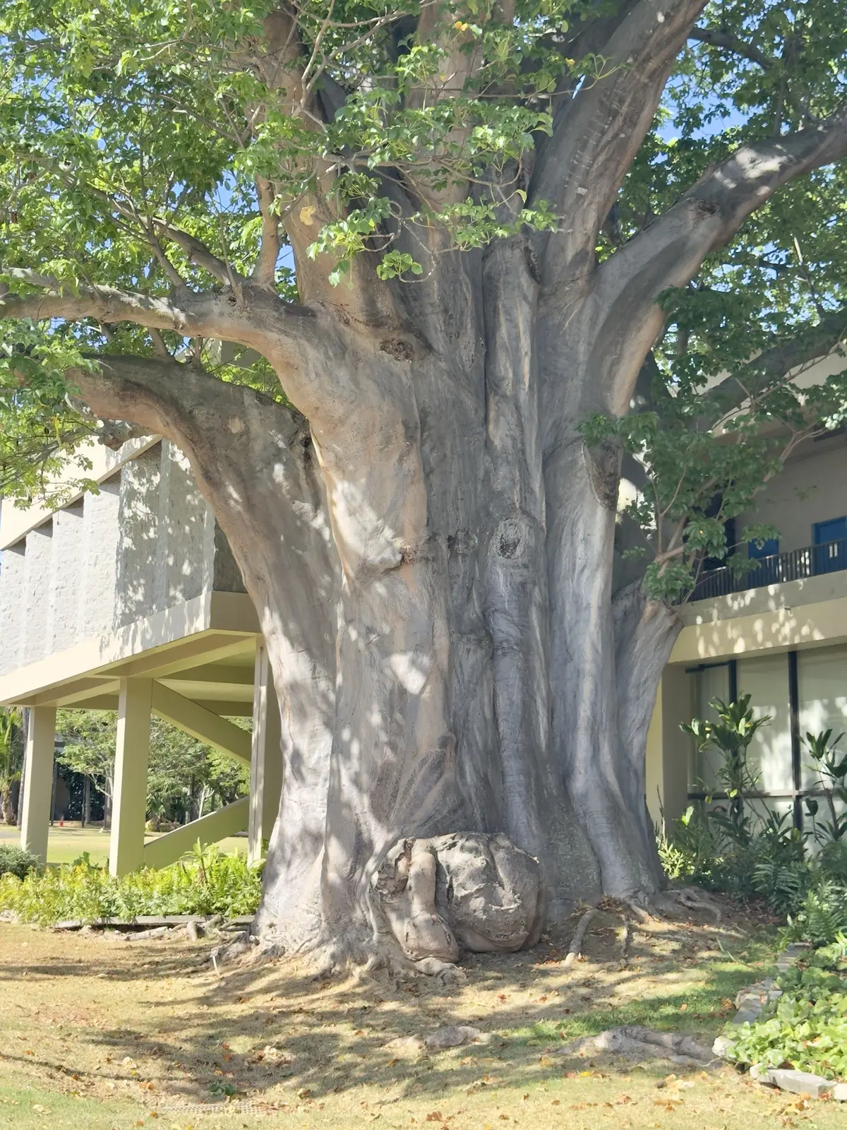 Honolulu, HI, December 11, 2024