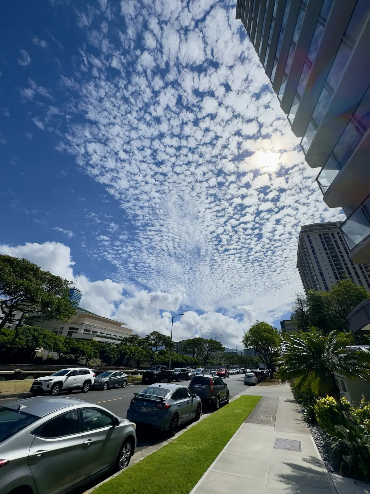 Honolulu, HI, December 11, 2024