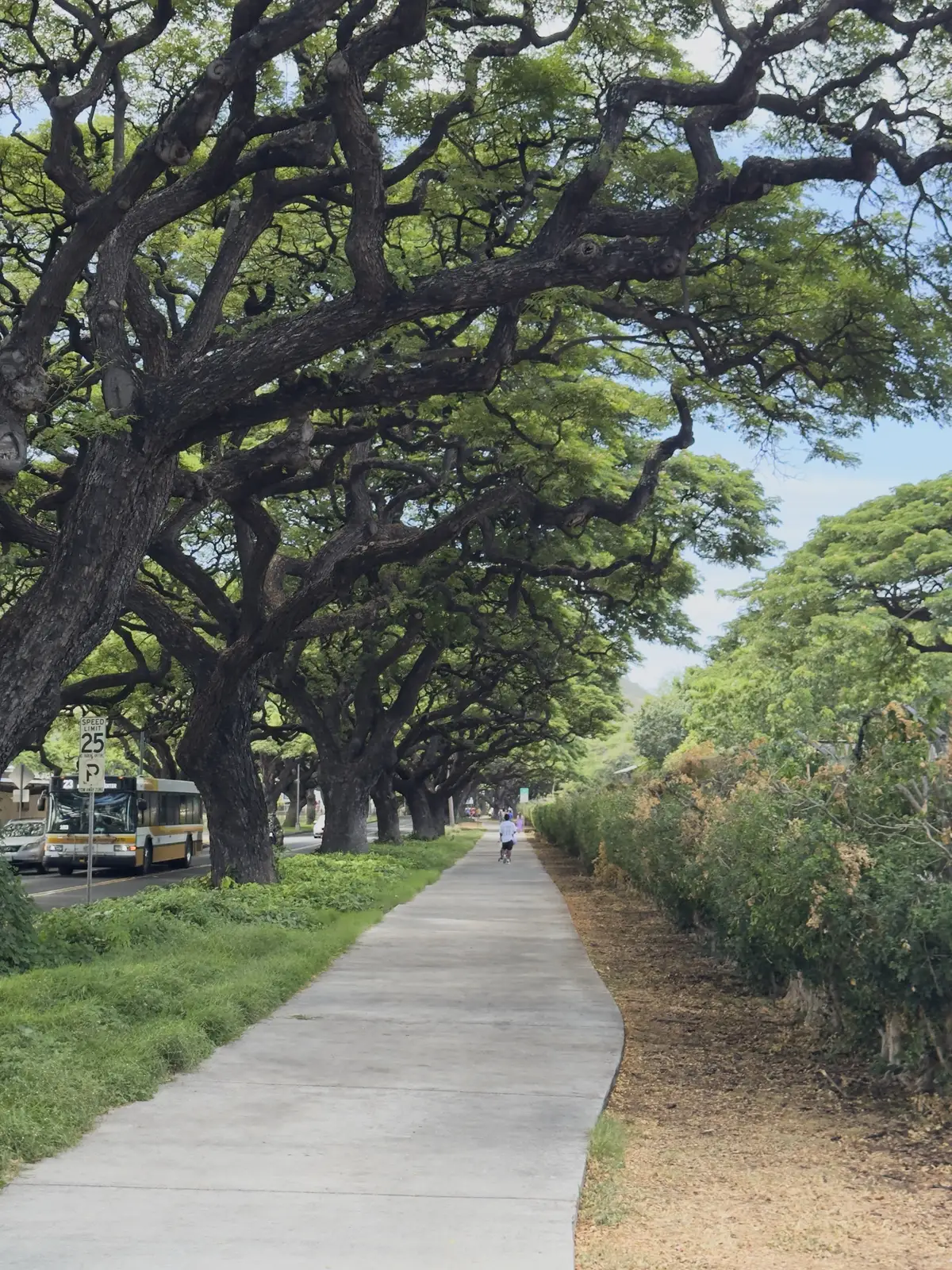Honolulu, HI, December 11, 2024