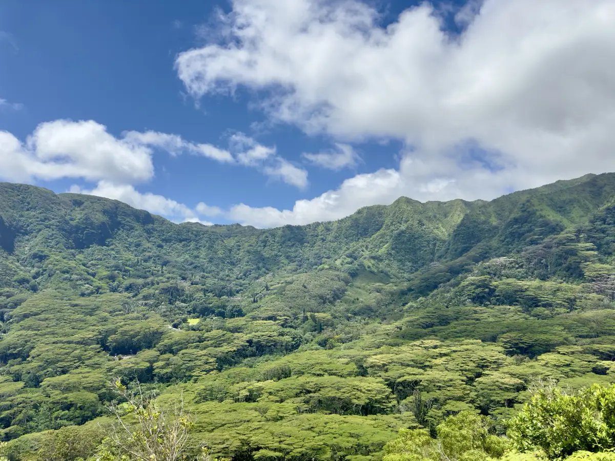 Honolulu, HI, December 11, 2024