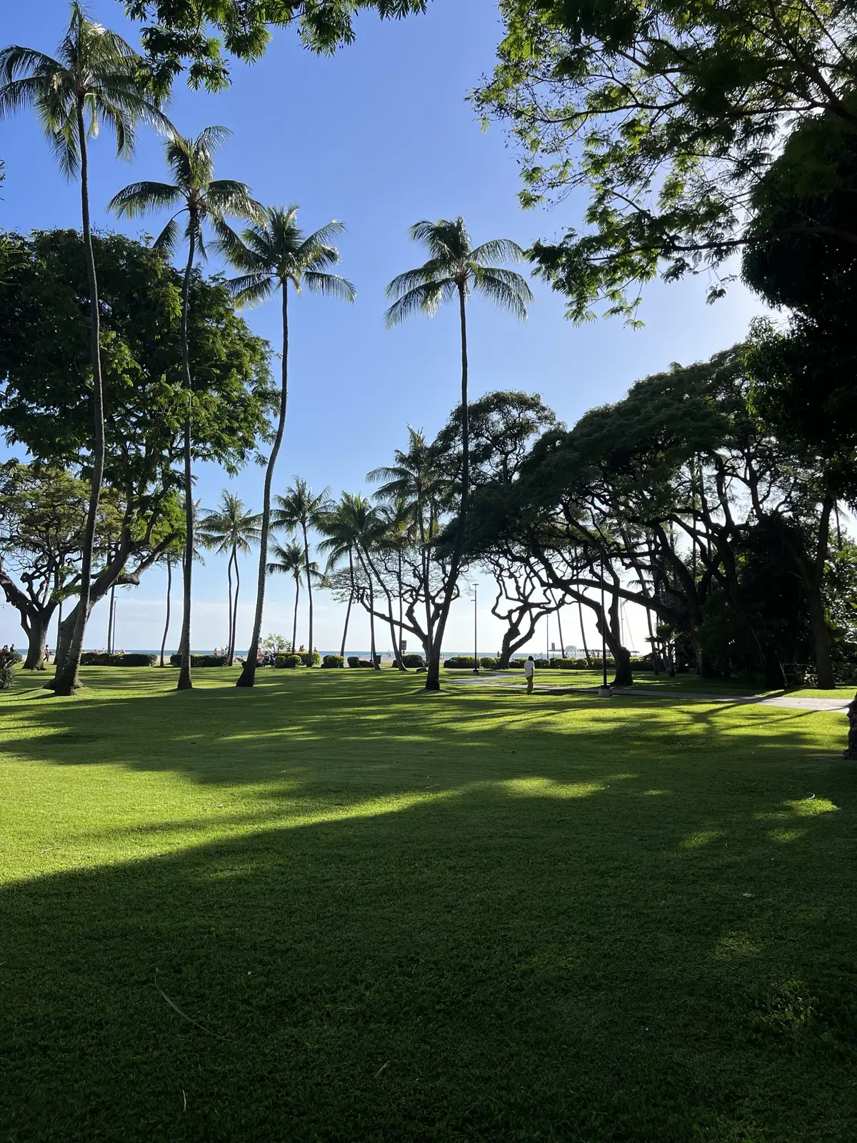 Honolulu, HI, December 11, 2024