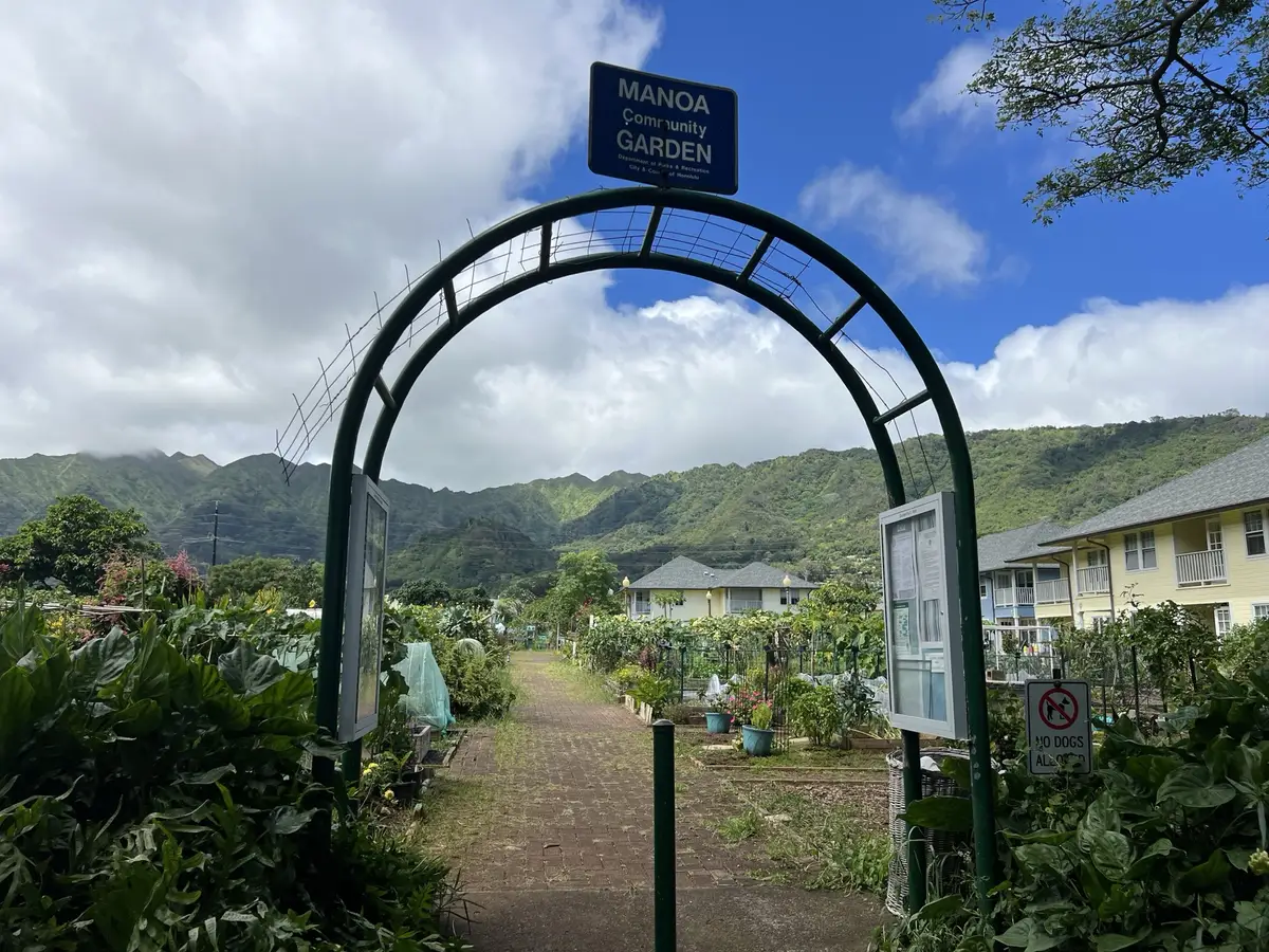 Honolulu, HI, December 11, 2024