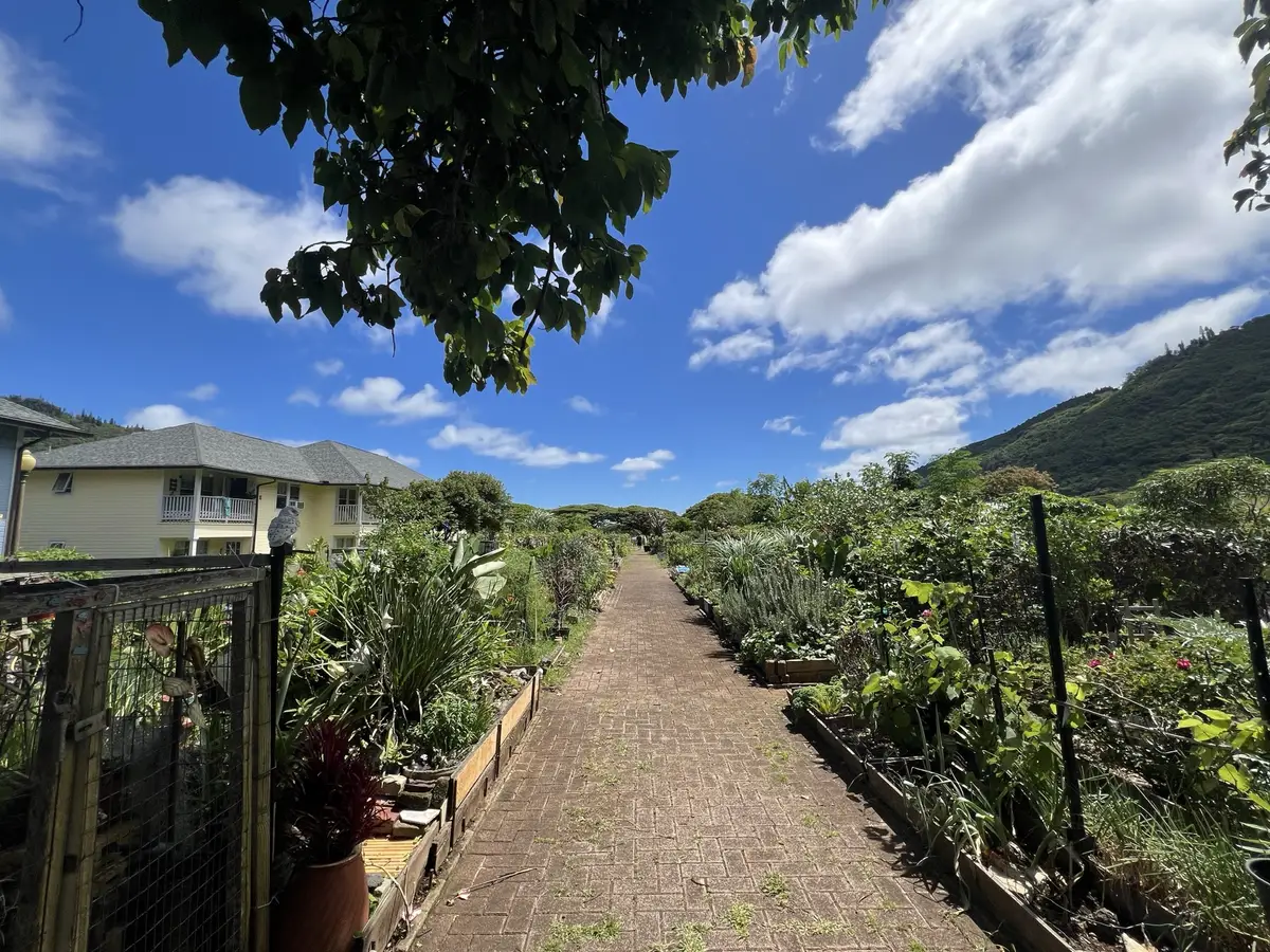 Honolulu, HI, December 11, 2024