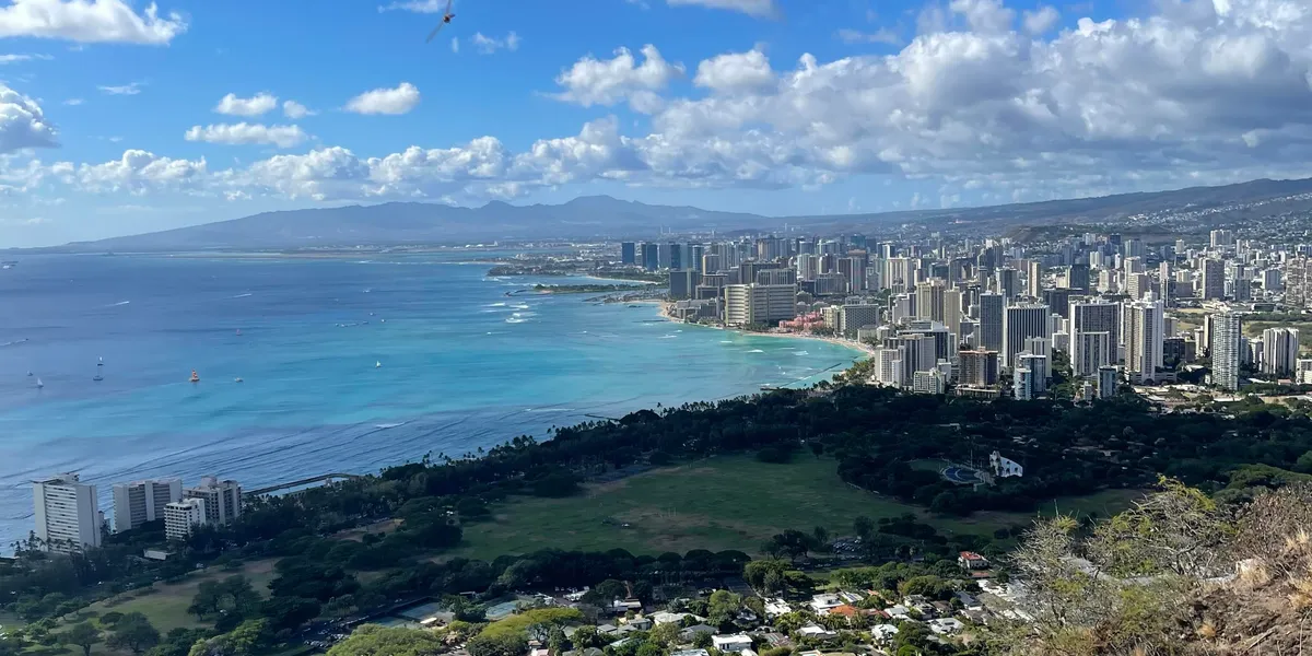 Cover image for Year in Review - Hawaii, Health, and Projects